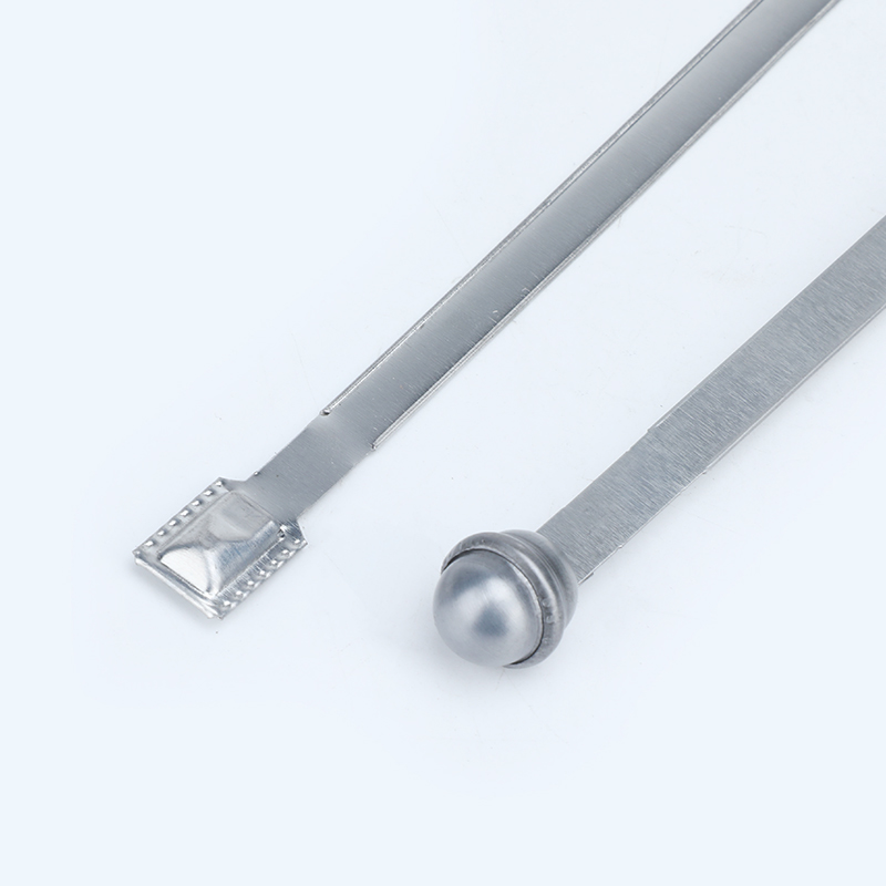 Fixed Length Metal Strap Seals